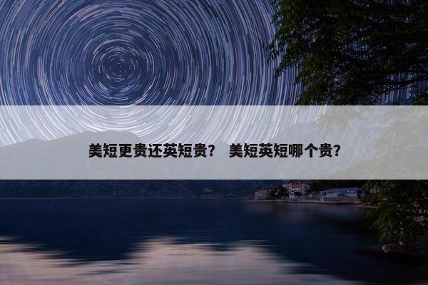 美短更贵还英短贵？ 美短英短哪个贵？