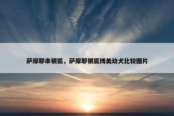 萨摩耶串银狐，萨摩耶银狐博美幼犬比较图片