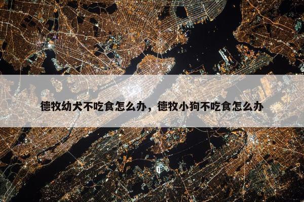德牧幼犬不吃食怎么办，德牧小狗不吃食怎么办