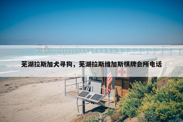 芜湖拉斯加犬寻狗，芜湖拉斯维加斯棋牌会所电话