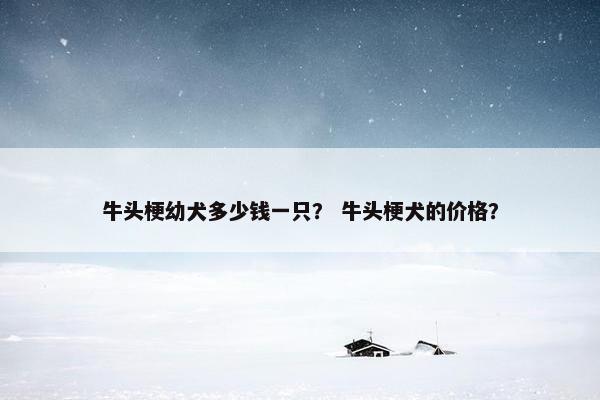 牛头梗幼犬多少钱一只？ 牛头梗犬的价格？