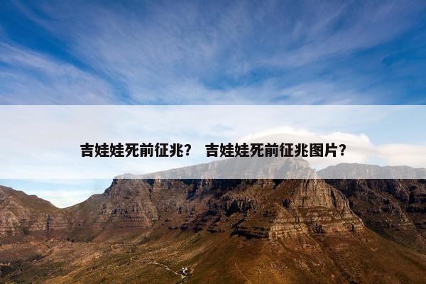 吉娃娃死前征兆？ 吉娃娃死前征兆图片？