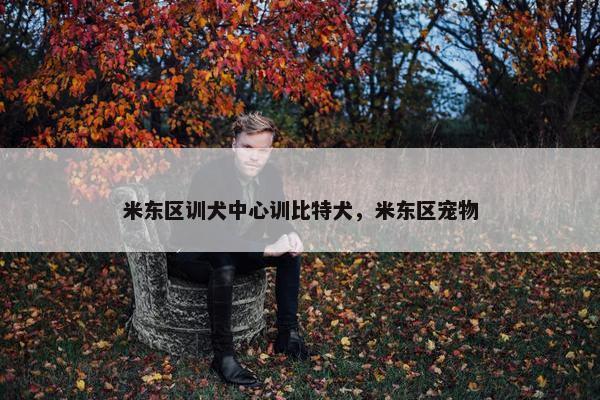米东区训犬中心训比特犬，米东区宠物