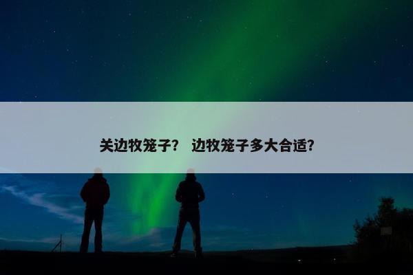 关边牧笼子？ 边牧笼子多大合适？