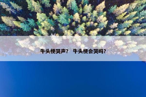 牛头梗哭声？ 牛头梗会哭吗？
