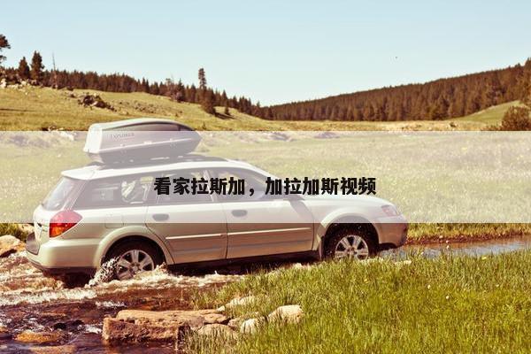 看家拉斯加，加拉加斯视频