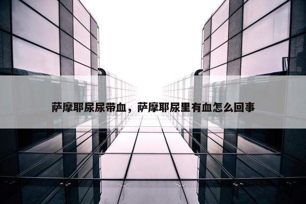 萨摩耶尿尿带血，萨摩耶尿里有血怎么回事