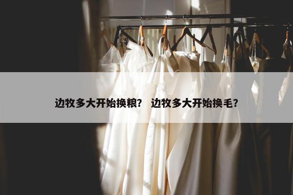 边牧多大开始换粮？ 边牧多大开始换毛？