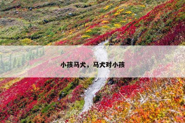 小孩马犬，马犬对小孩