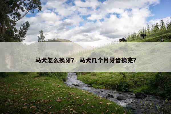 马犬怎么换牙？ 马犬几个月牙齿换完？