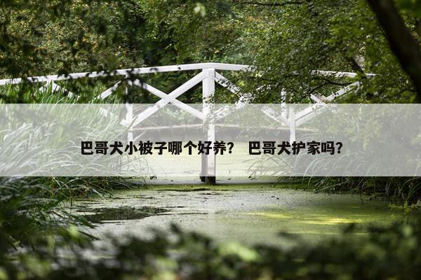 巴哥犬小被子哪个好养？ 巴哥犬护家吗？