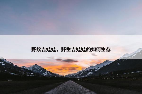野炊吉娃娃，野生吉娃娃的如何生存