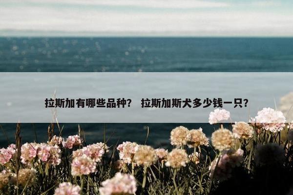 拉斯加有哪些品种？ 拉斯加斯犬多少钱一只？