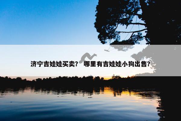 济宁吉娃娃买卖？ 哪里有吉娃娃小狗出售？