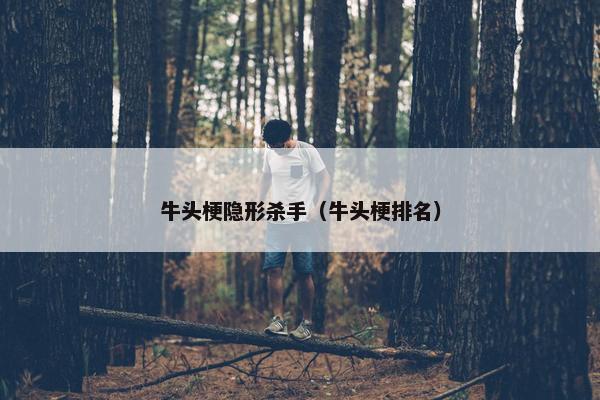 牛头梗隐形杀手（牛头梗排名）