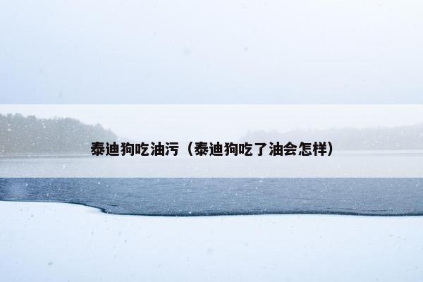 泰迪狗吃油污（泰迪狗吃了油会怎样）
