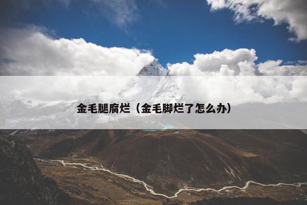 金毛腿腐烂（金毛脚烂了怎么办）
