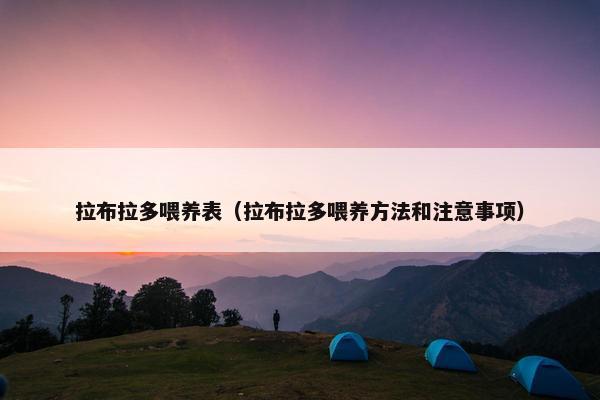 拉布拉多喂养表（拉布拉多喂养方法和注意事项）