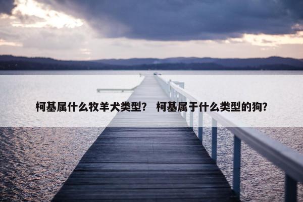柯基属什么牧羊犬类型？ 柯基属于什么类型的狗？
