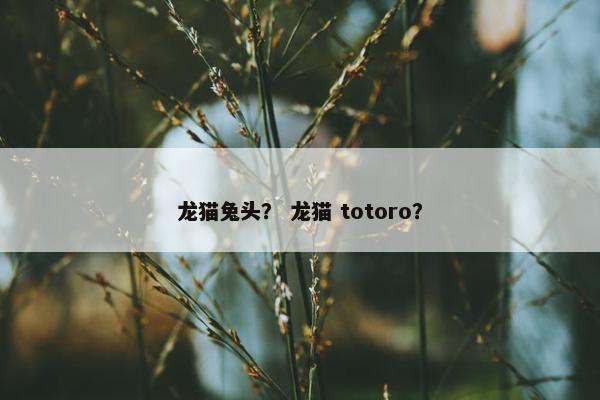 龙猫兔头？ 龙猫 totoro？