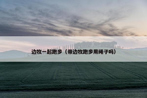 边牧一起跑步（带边牧跑步用绳子吗）