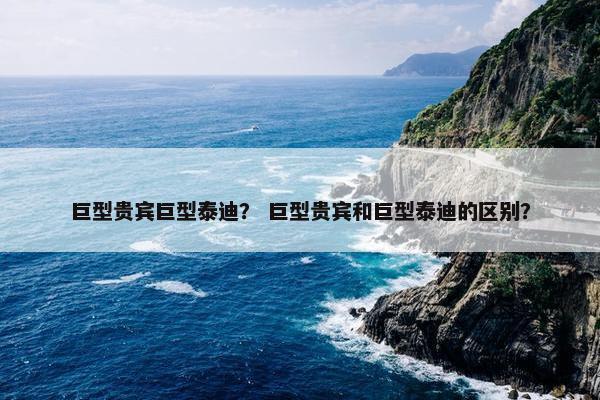 巨型贵宾巨型泰迪？ 巨型贵宾和巨型泰迪的区别？