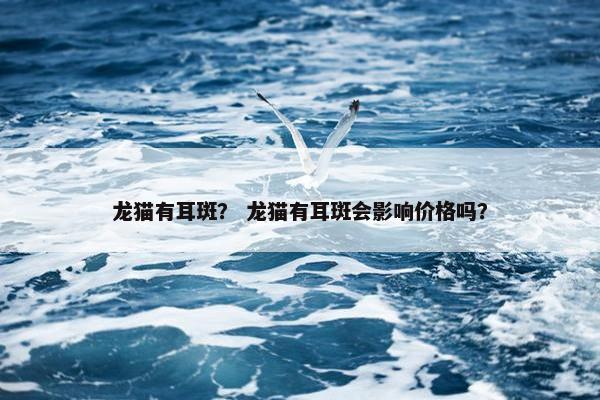 龙猫有耳斑？ 龙猫有耳斑会影响价格吗？