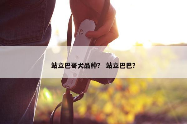 站立巴哥犬品种？ 站立巴巴？