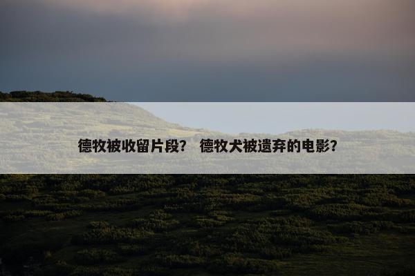德牧被收留片段？ 德牧犬被遗弃的电影？