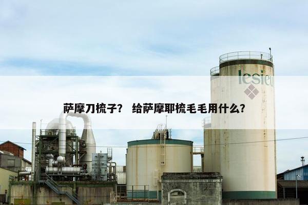 萨摩刀梳子？ 给萨摩耶梳毛毛用什么？