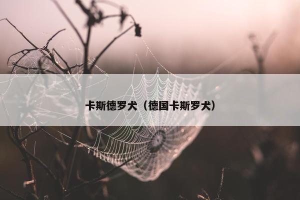 卡斯德罗犬（德国卡斯罗犬）
