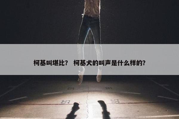 柯基叫堪比？ 柯基犬的叫声是什么样的？