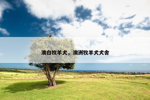 澳白牧羊犬，澳洲牧羊犬犬舍