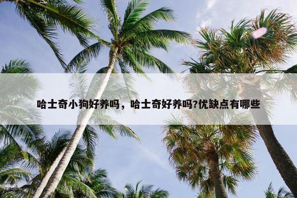 哈士奇小狗好养吗，哈士奇好养吗?优缺点有哪些