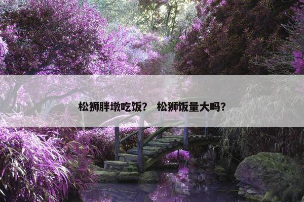 松狮胖墩吃饭？ 松狮饭量大吗？