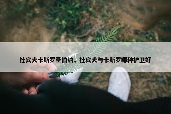 杜宾犬卡斯罗圣伯纳，杜宾犬与卡斯罗哪种护卫好