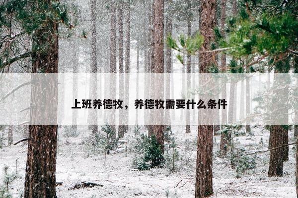 上班养德牧，养德牧需要什么条件