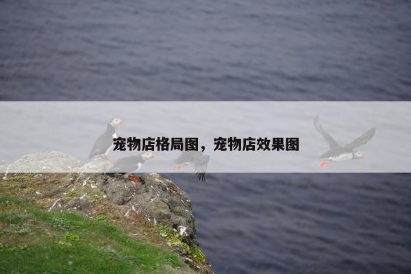 宠物店格局图，宠物店效果图