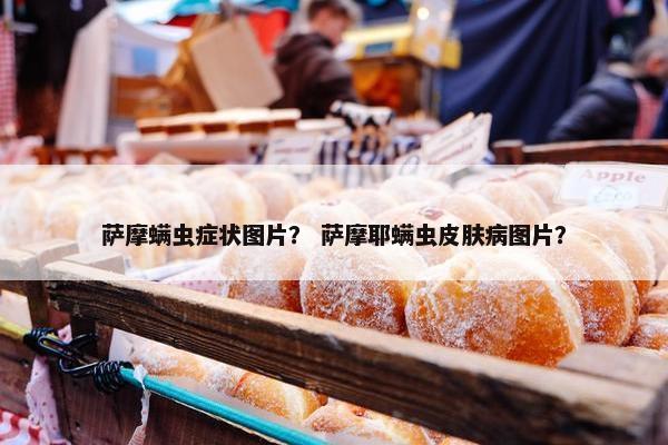萨摩螨虫症状图片？ 萨摩耶螨虫皮肤病图片？
