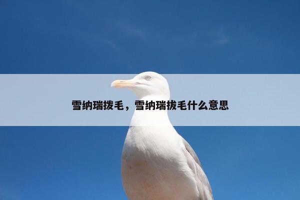 雪纳瑞拨毛，雪纳瑞拔毛什么意思