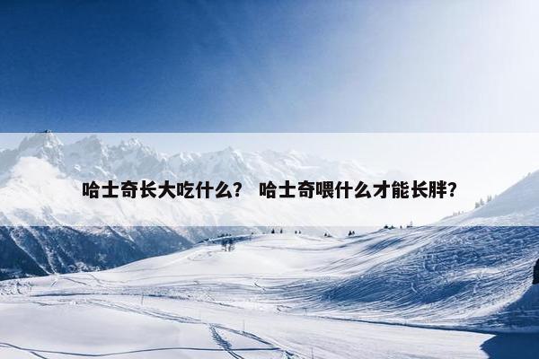哈士奇长大吃什么？ 哈士奇喂什么才能长胖？