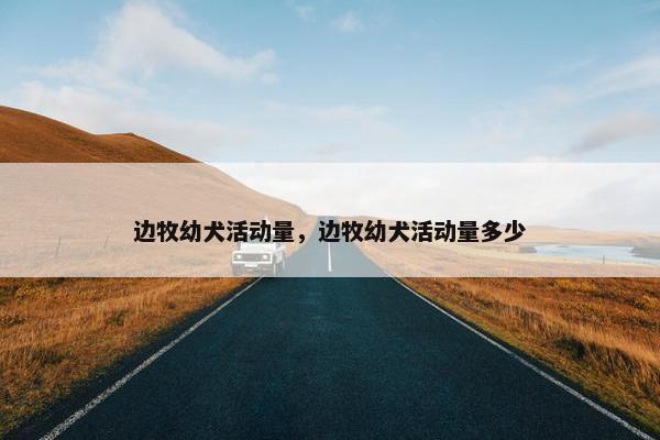 边牧幼犬活动量，边牧幼犬活动量多少