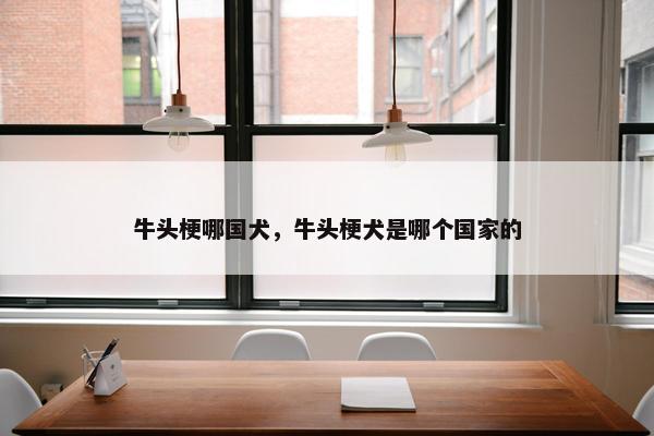 牛头梗哪国犬，牛头梗犬是哪个国家的