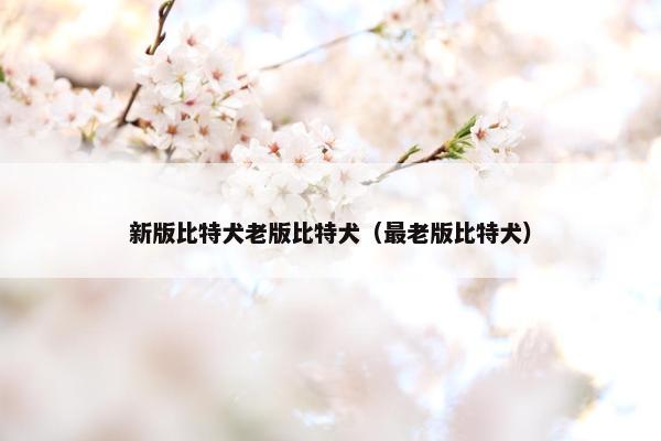 新版比特犬老版比特犬（最老版比特犬）