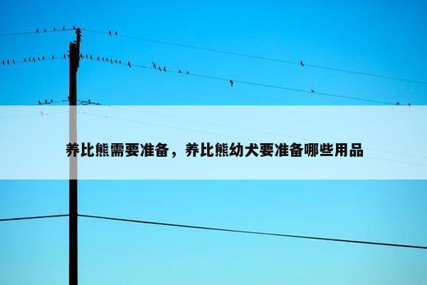 养比熊需要准备，养比熊幼犬要准备哪些用品