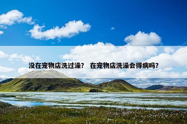 没在宠物店洗过澡？ 在宠物店洗澡会得病吗？