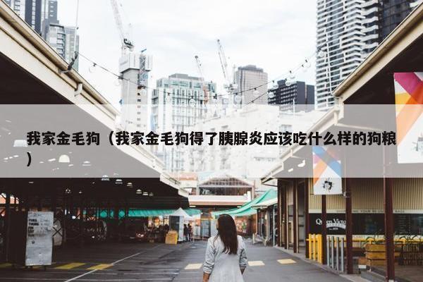我家金毛狗（我家金毛狗得了胰腺炎应该吃什么样的狗粮）