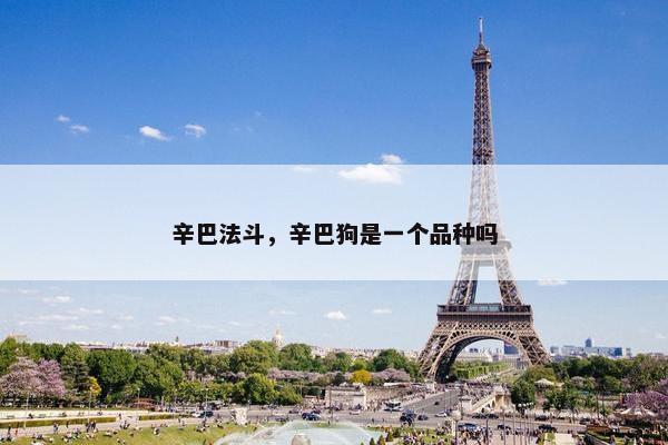 辛巴法斗，辛巴狗是一个品种吗