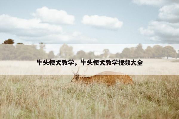 牛头梗犬教学，牛头梗犬教学视频大全