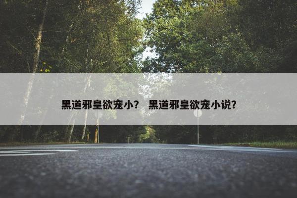 黑道邪皇欲宠小？ 黑道邪皇欲宠小说？